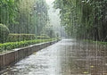 Rainstorm