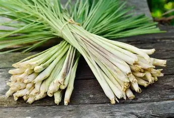 Sweet Lemongrass