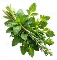 Rosemary and Mint