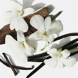 Vanilla  musk
