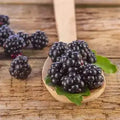 Black Raspberry Vanilla