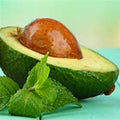 Avocado and Mint