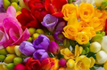 Freesia and red berries