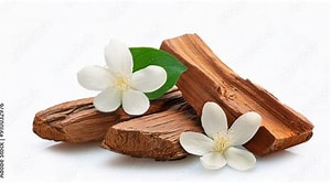 Jasmin and Sandalwood