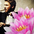 lillies and Leather