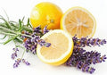 Lemon lavender