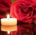 Red Rose and Ruby Plum