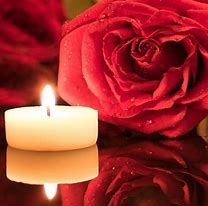 Red Rose and Ruby Plum