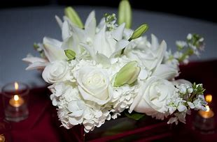 Wild Peony and Jasmine